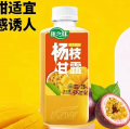 450ml康之味杨枝甘露果汁饮料#
